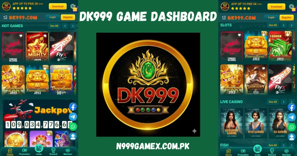 DK 999 dashboard
