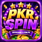 PKRSpin game